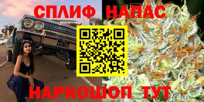 скорость Гагарин