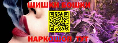 меф Гатчина