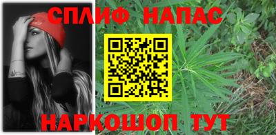 скорость Гагарин