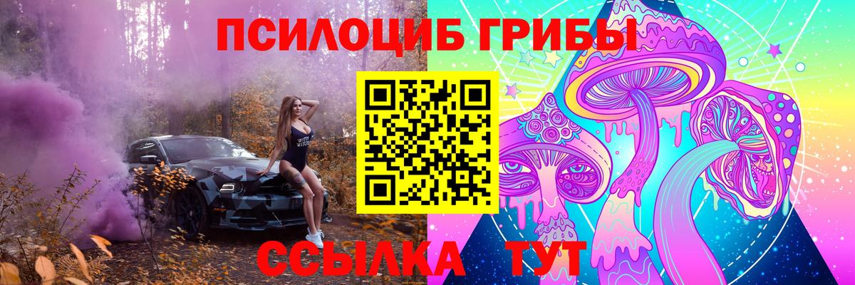 Псилоцибиновые грибы Psilocybine cubensis Гусь-Хрустальный